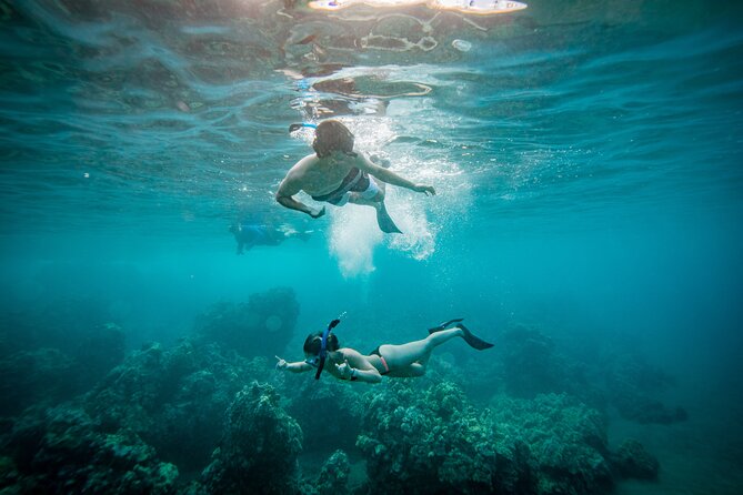 Molokini Crater Snorkel & Whale Watch Adventure (Dec 15-Mar 30) - Key Things I’d Bet On