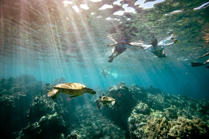 Molokini Crater Snorkel & Whale Watch Adventure (Dec 15-Mar 30) - Meeting Spot and Timing in Kihei: What Your Day Feels Like