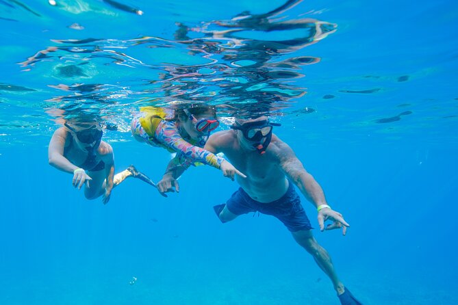 Molokini Crater Snorkel & Whale Watch Adventure (Dec 15-Mar 30) - Price Check: Is $139 Worth the Time on the Water?