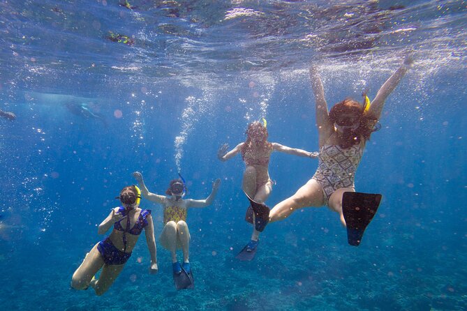 Molokini Snorkel and Performance Sail: Mā’alaea Harbor - Key things I’d note before you book
