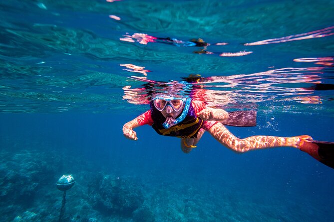 Molokini Snorkel and Performance Sail: Mā’alaea Harbor - Whales and dolphins: the sail becomes the show