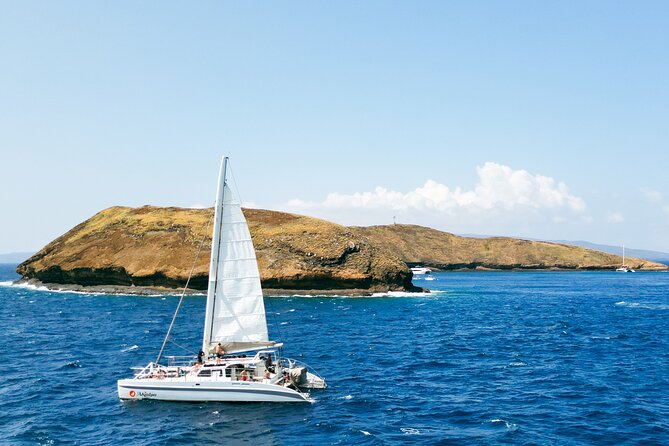 Molokini Snorkel and Performance Sail: Mā’alaea Harbor - Price and value: is $200 a fair deal?
