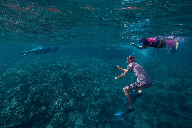 Molokini Snorkel and Performance Sail: Mā’alaea Harbor - Weather and detours: what happens if Molokini isn’t ideal