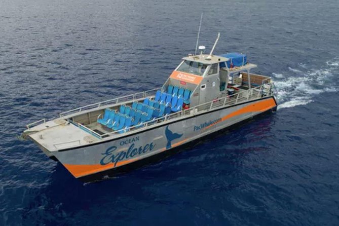 Molokini & Turtle Adventure: Small Group from Ma'alaea Harbor - Molokini & turtle time: what makes this tour click