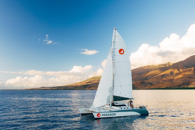 Morning Whale Watch: Lahaina Harbor - Key things I’d focus on before you go