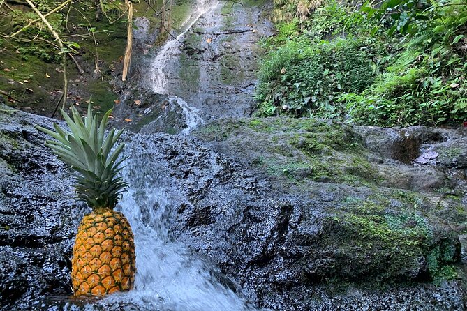 Nature Hike to Waterfall - Halona Blow Hole and Eternity Beach: the ocean’s special effects