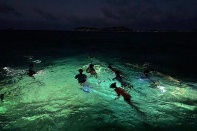 Night-Time Snorkel at TurtleTown with Stars, Lights, and Photos - The 4000-lumen colored light and how it changes the ocean
