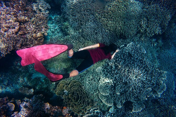 Night-Time Snorkel at TurtleTown with Stars, Lights, and Photos - Gear you don’t have to bring (and why it matters)