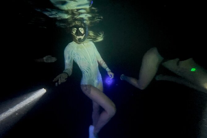 Night-Time Snorkel at TurtleTown with Stars, Lights, and Photos - Price and value: is $119.20 a good deal?