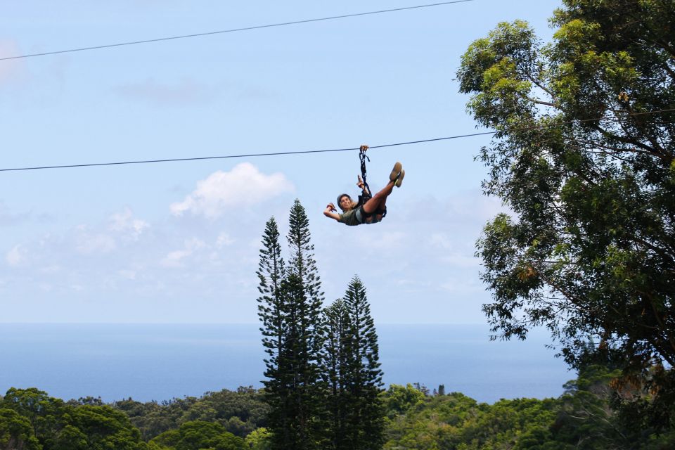 North Maui: 7 Line Zipline Adventure with Ocean Views - Key highlights you should care about