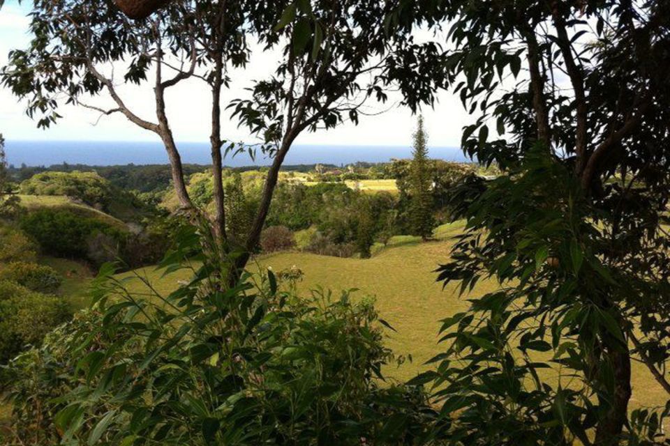 North Maui: 7 Line Zipline Adventure with Ocean Views - Who This Tour Fits Best (and who should skip it)