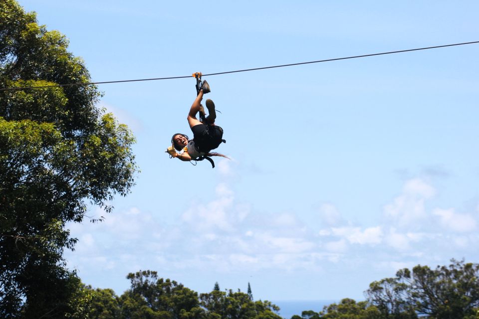North Maui: 7 Line Zipline Adventure with Ocean Views - North Maui Ziplining From Camp Maui’s Eucalyptus Canopy