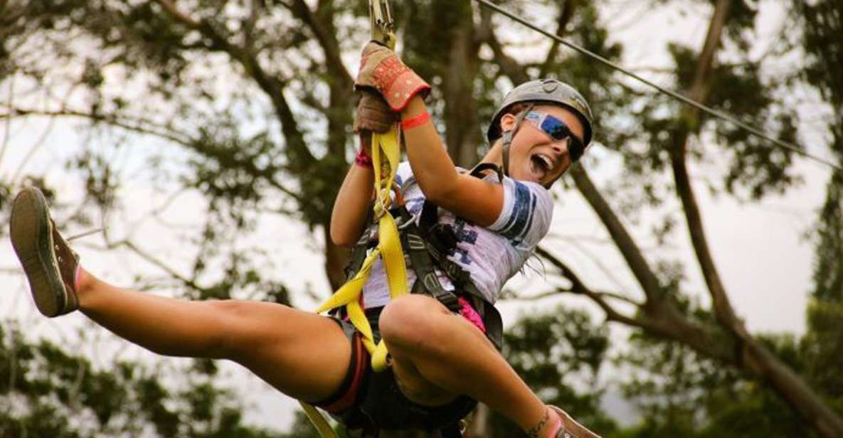 North Maui: 7 Line Zipline Adventure with Ocean Views - The 2-Hour Flow: Safety Setup, Trainer Run, Museum Stop, Then the Real Course