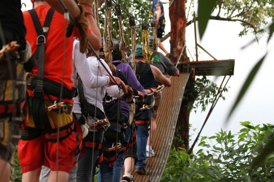 North Maui: 7 Line Zipline Adventure with Ocean Views - The Ocean Views Aren’t Just Pretty Extras
