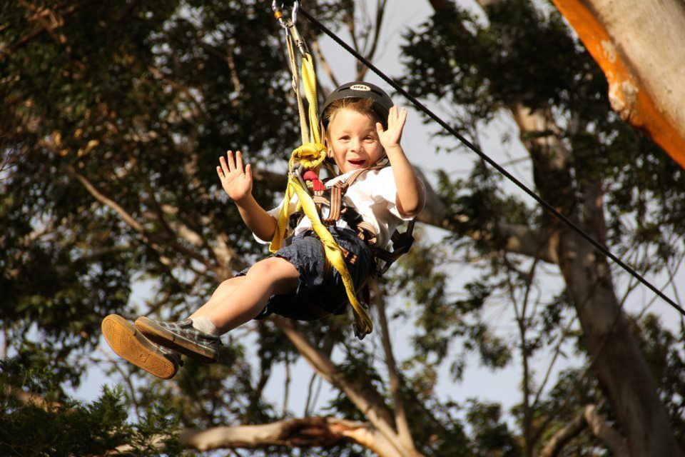North Maui: 7 Line Zipline Adventure with Ocean Views - What’s Included vs. Extra: Shoes, Tips, and Action Photos