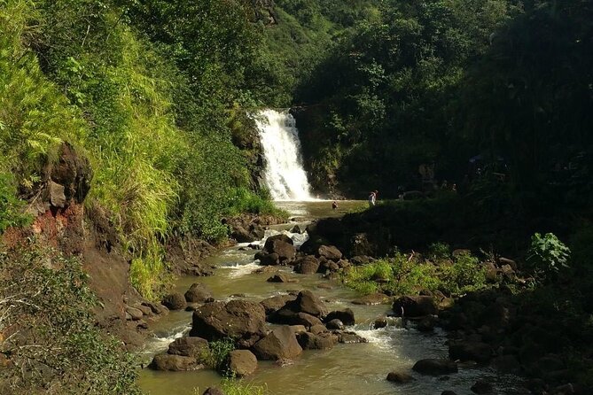 North Shore day,Waterfalls and Turtles Tour - Turtle Time on the North Shore Beach: What to Expect and How to Make It Worth It