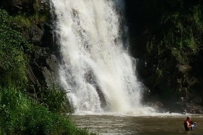 North Shore day,Waterfalls and Turtles Tour - Should You Book This North Shore Waterfalls and Turtles Tour?