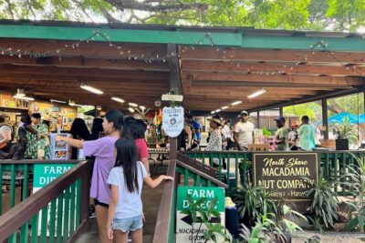 North Shore Dole Pineapple Farm Tour - Green World Coffee Farms: A Quick Start Before the Fields