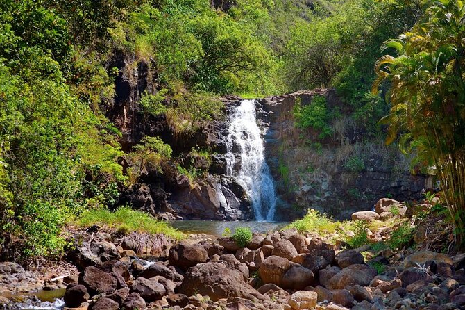 North Shore / Waimea, Falls Day & Swim with Turtles - Key highlights worth getting excited about