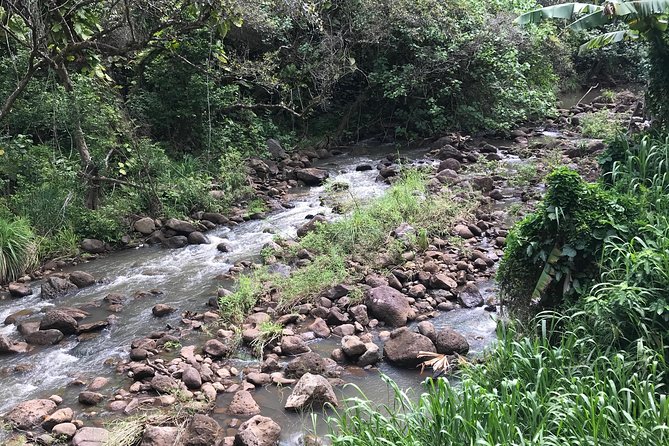 North Shore / Waimea, Falls Day & Swim with Turtles - Waimea Valley: the gardens hike and the waterfall swim setup