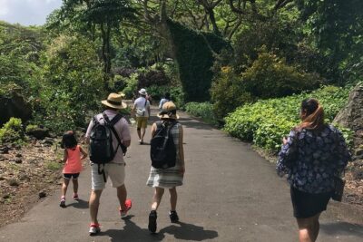 North Shore / Waimea, Falls Day & Swim with Turtles - Pickup at 9:00 and how the day stays low-stress