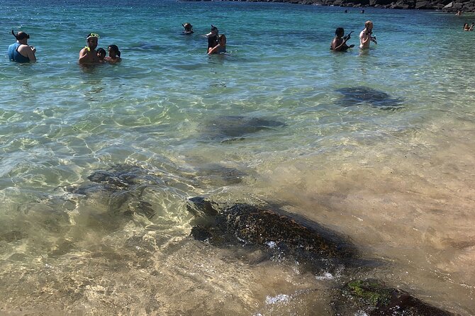 North Shore / Waimea, Falls Day & Swim with Turtles - Coffee and chocolate stop: samples, smells, and shopping without the pressure