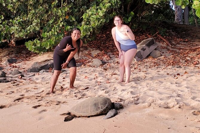 Northshore ocean adventure and circle islandJeep Tour- Guaranteed to see turtles - Haleʻiwa: North Shore surf culture, with a taste of the real vibe
