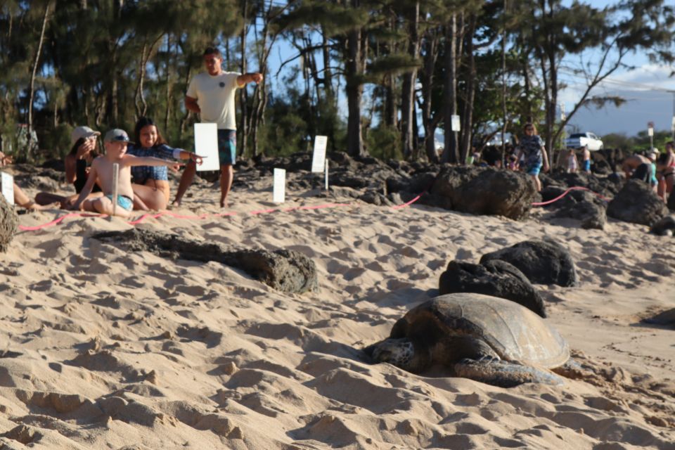 Oahu: Active Circle Island Tour - Lunch at Giovanni’s shrimp truck: a real mid-day reset