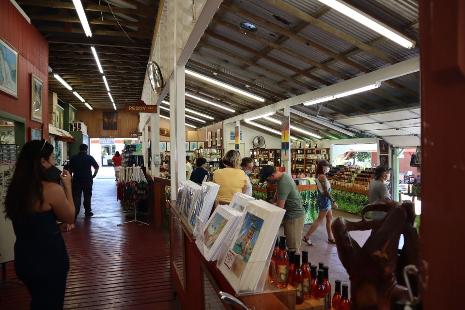 Oahu: Active Circle Island Tour - Sharks Cove snorkeling: why this stop anchors the whole tour