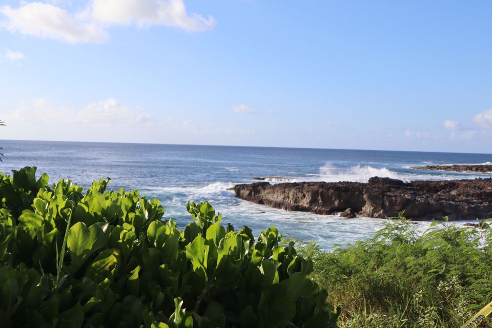 Oahu: Active Circle Island Tour - The guide factor: Shane Ogitani and why stories matter
