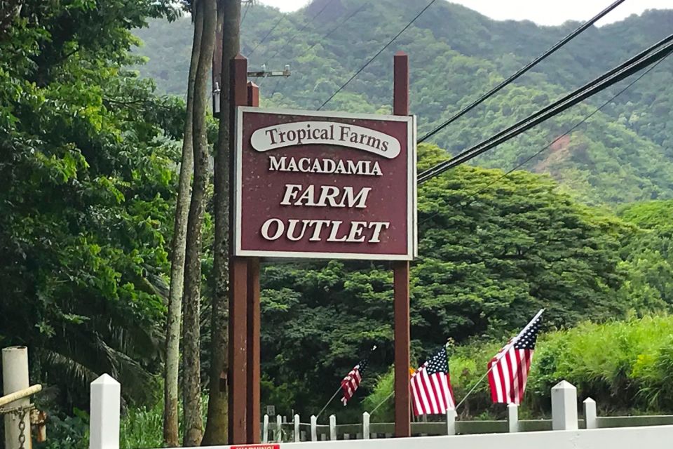 Oahu: Beauty and the Feast Circle Island Experience - Waimea Valley and Byodo-In Temple Stops: Where the Day Gets Human