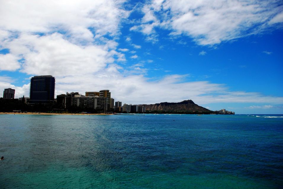 Oahu Boat Cruise to Diamond Head - Marine Life Spotting: Dolphins and Sea Turtles Without the Fuss
