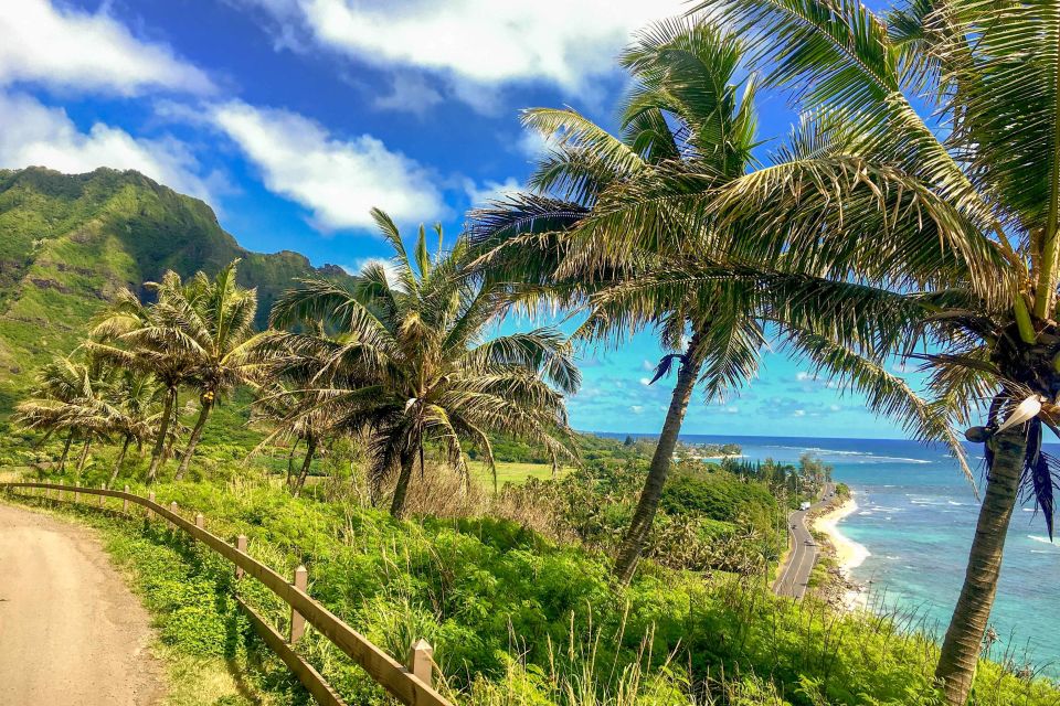 Oahu: Circle Island Top Sights Full-Day Tour w/ Local Guide - Dole Plantation and Dole Whip: Worth It, But Manage Your Time