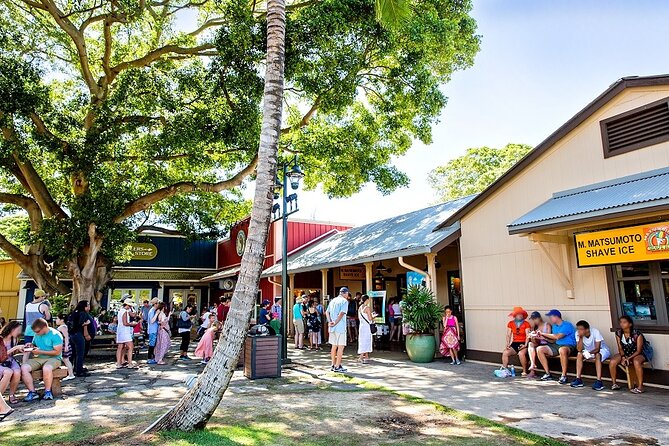 Oahu Circle Island Tour with Byodo-In Temple Admission - Price and value: what $139 buys you on Oahu