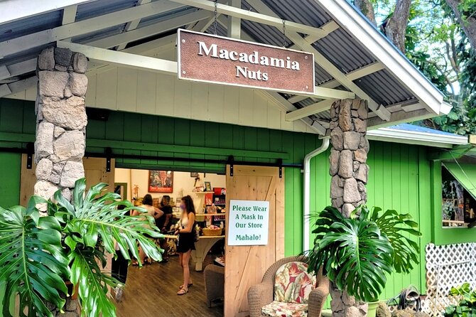 Oahu Circle Island Tour with Byodo-In Temple Admission - Sandy Beach Park: a restroom stop and the real deal on shorebreaks