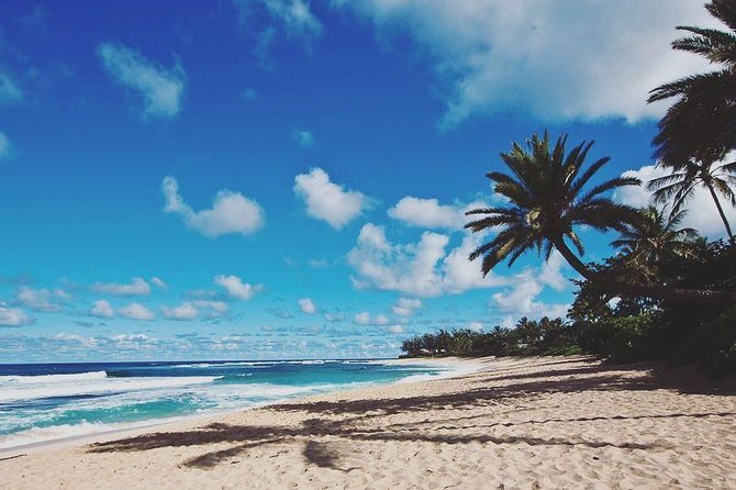 Oahu Circle Island Tour with Turtle Snorkeling— Small-Groups - The ride: small group comfort and the 7:20am reality
