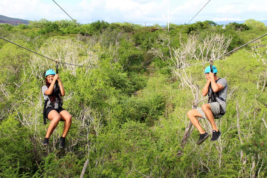 Oahu: Coral Crater Zipline Tour - Coral Crater Zipline basics: speed, setup, and what you’re really signing up for