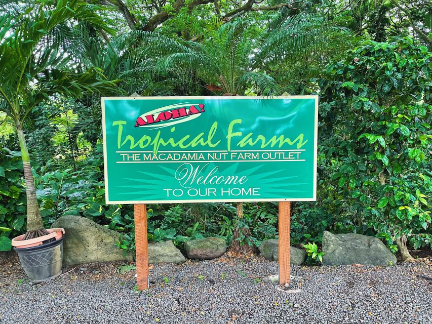 Oahu: Diamond Head Crater Hike and North Shore Experience - Kahuku Sugar Mill food trucks: your best lunch break of the day