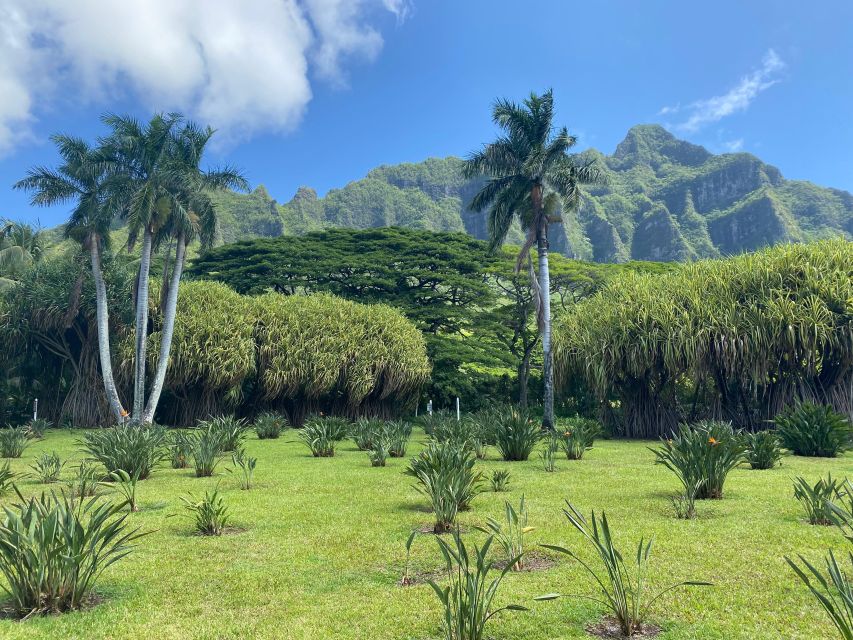 Oahu: Diamond Head Crater Hike and North Shore Experience - Dole Plantation: pineapple garden time plus the Whip factor