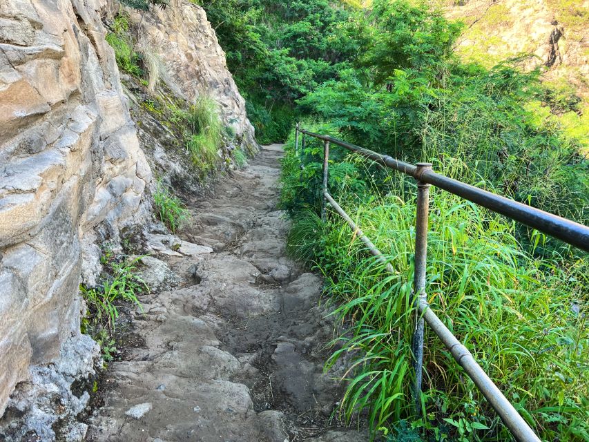 Oahu: Diamond Head Crater Trailhead Transfer & Entry Fee - Who should book this Diamond Head transfer and entry?