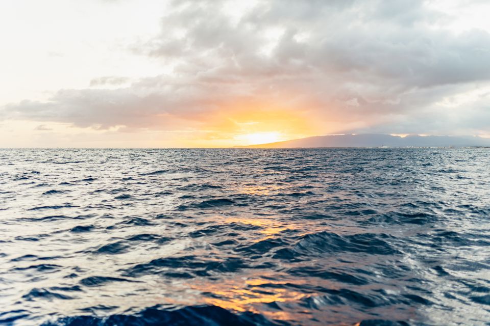 Oahu: Diamond Head Cruise with Drinks & Appetizers - Drinks and Food: What’s Included and Why It Feels Like Value