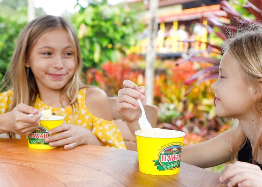 Oahu: Dole Plantation & Haleiwa Express Deluxe Tour - Key points to know before you go