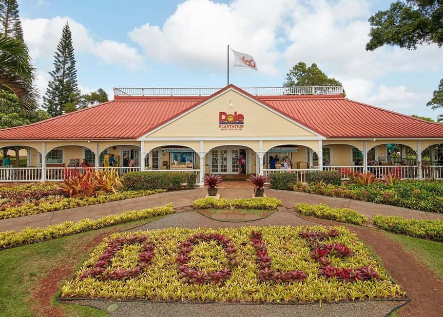 Oahu: Dole Plantation & Haleiwa Express Deluxe Tour - Haleiwa: surf town lunch, street food, and shopping with a local guide
