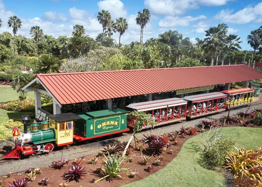 Oahu: Dole Plantation & Haleiwa Express Deluxe Tour - Price and what $100 really covers on this Oahu day