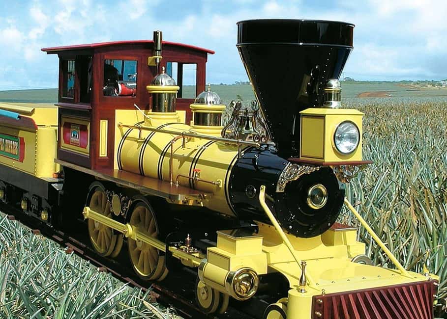 Oahu: Dole Plantation & Haleiwa Express Deluxe Tour - Dole Plantation: Pineapple Express train, gardens, and maze time