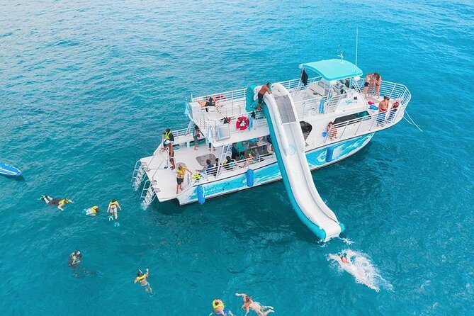 Oahu Dolphin and Snorkel Tour with Waikiki Pickup & Lunch - Key Things To Know Before You Go