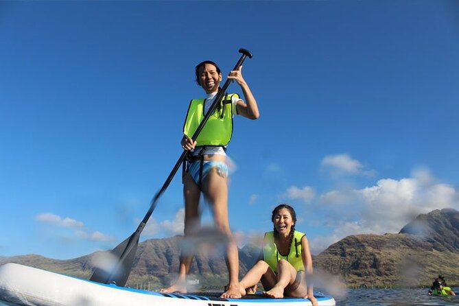 Oahu Dolphin and Snorkel Tour with Waikiki Pickup & Lunch - Snorkeling with Hawaiian green sea turtles: what you should expect in the water