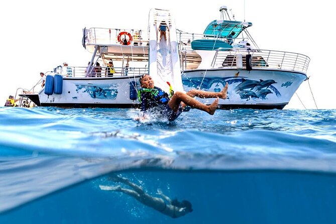 Oahu Dolphin and Snorkel Tour with Waikiki Pickup & Lunch - Price and whether $164.70 makes sense for your morning