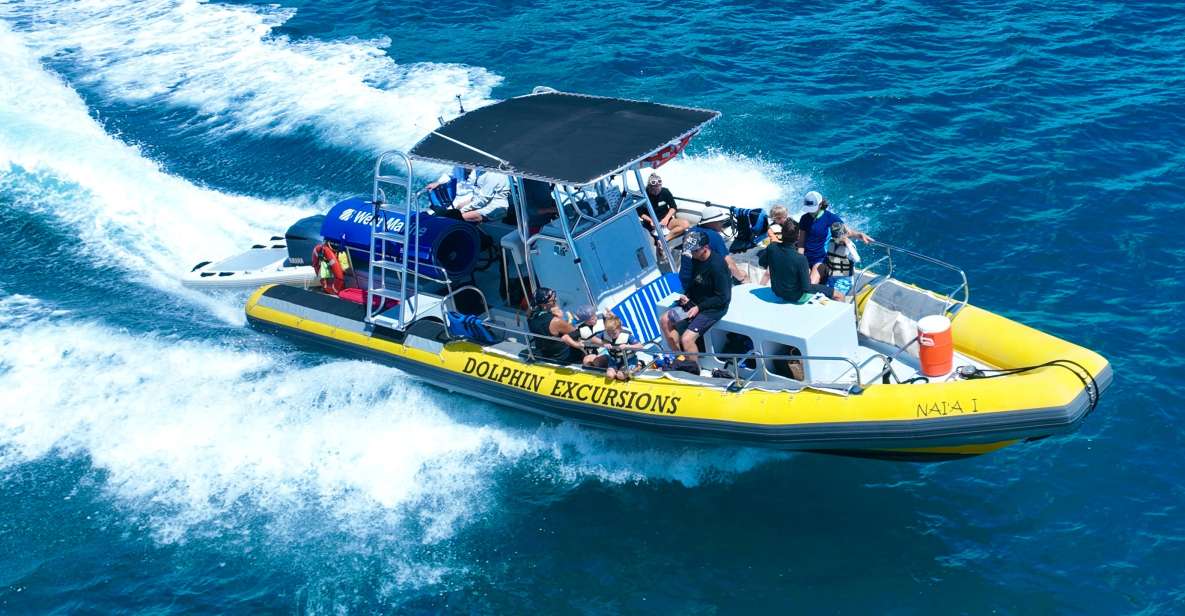 Oahu: Dolphin Swim and Turtle Snorkel Excursion in Waianae - Key things that make this tour worth your time