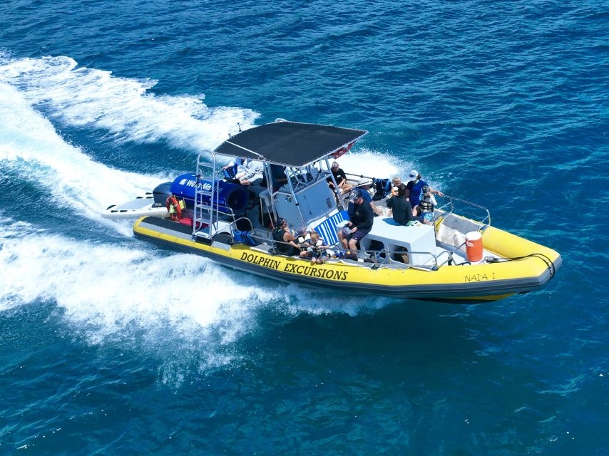 Oahu: Dolphin Swim and Turtle Snorkel Excursion in Waianae - The gear and lunch details that quietly improve the day